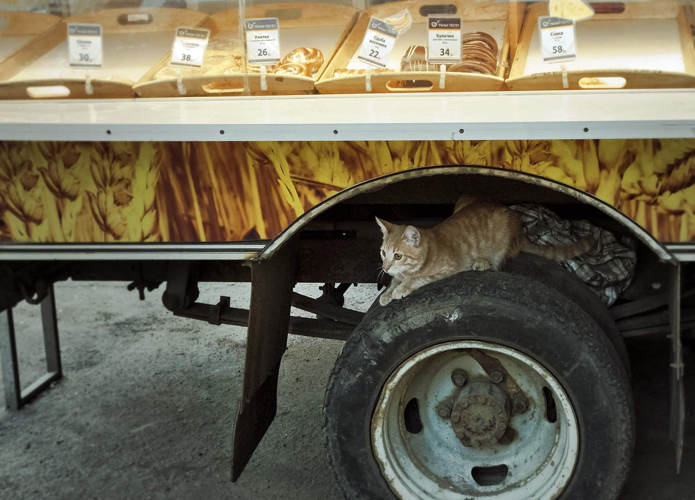 Неожиданный поворот