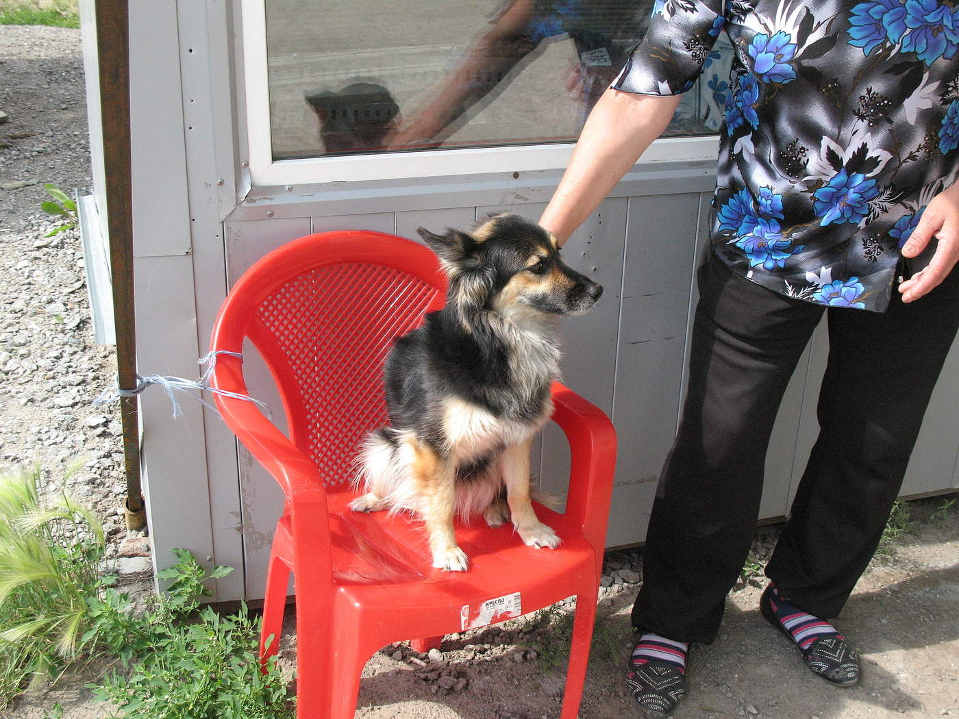 Неожиданный поворот