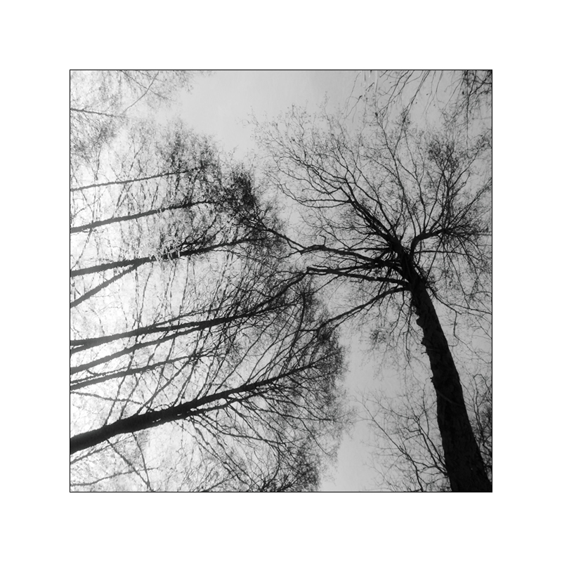 Неожиданный поворот