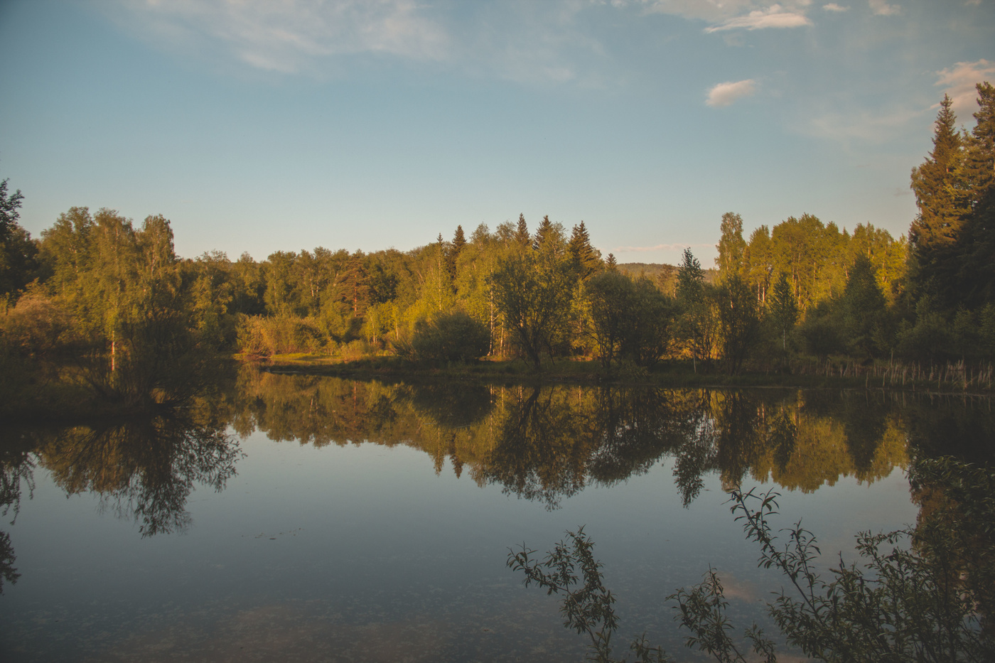 Неожиданный поворот