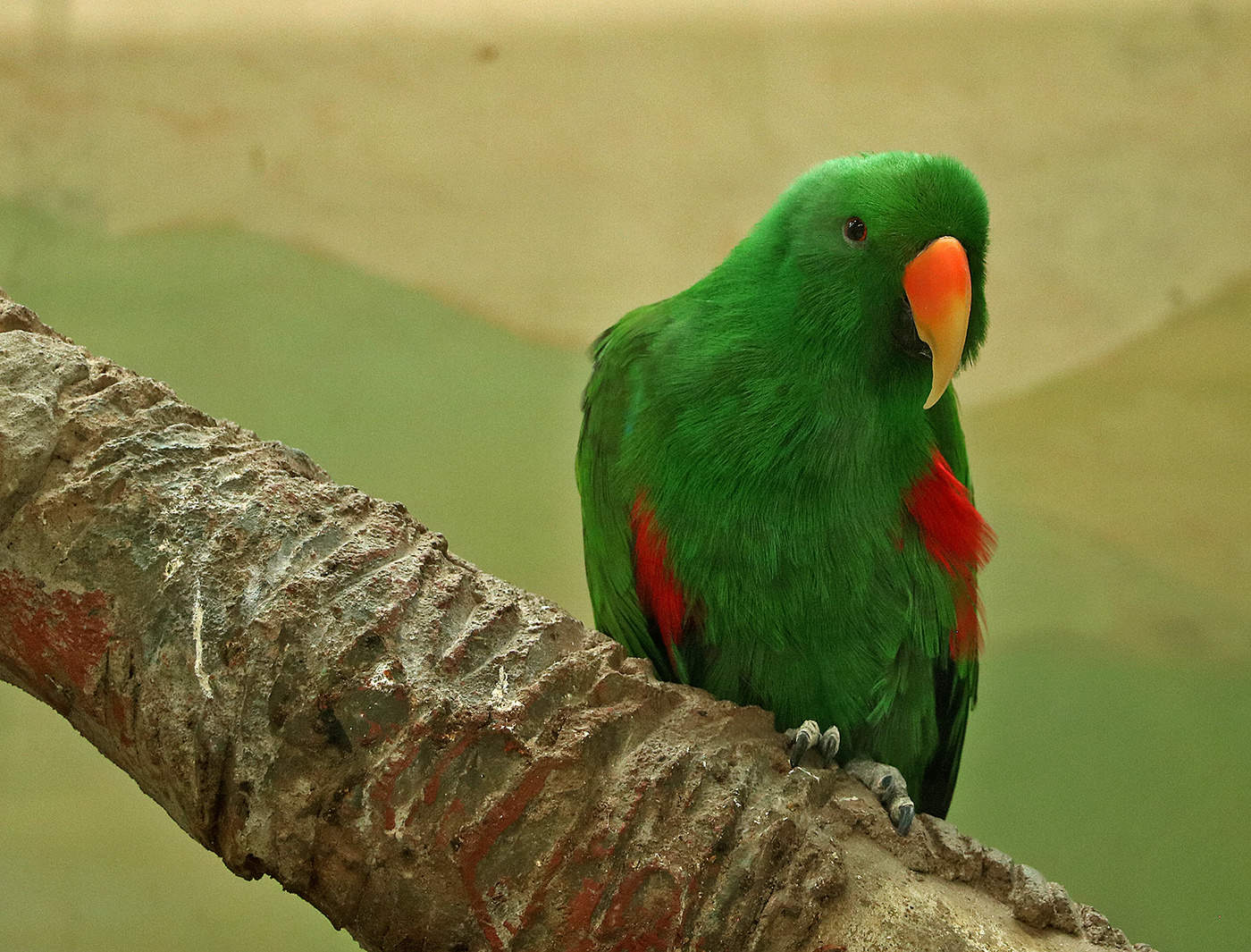 Зелёненький он был...