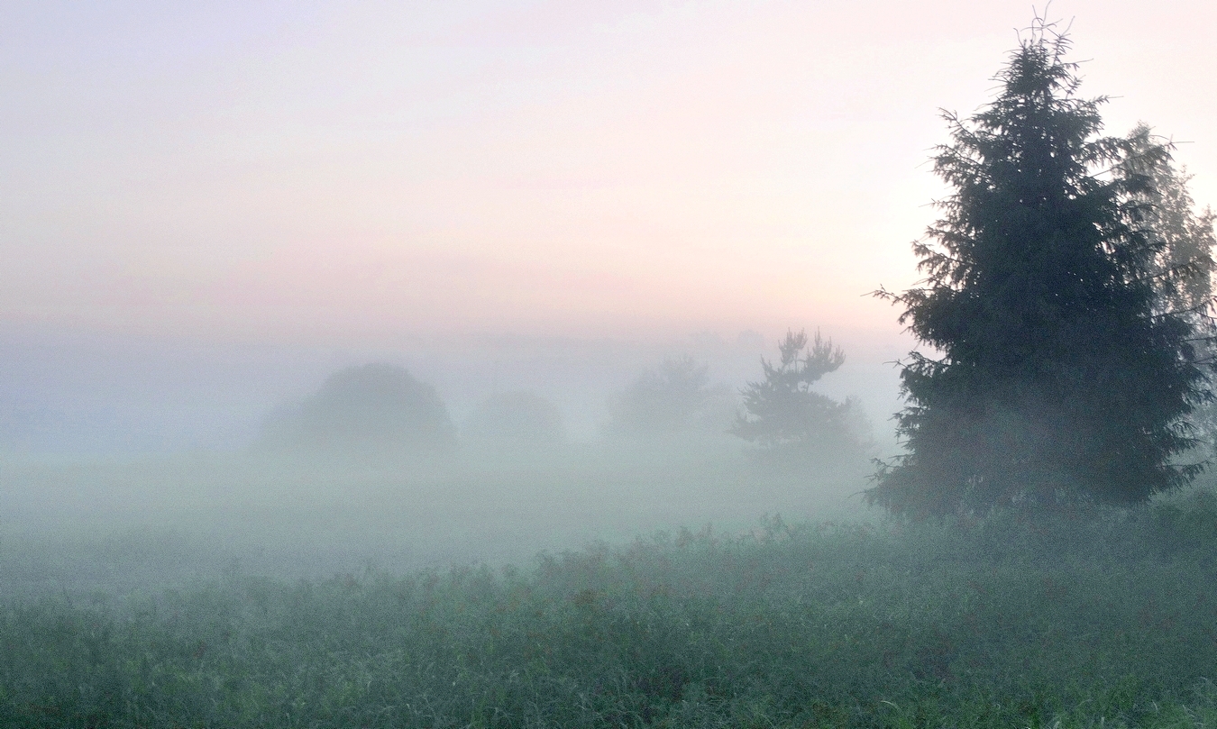Эти летние туманы поздним вечером
