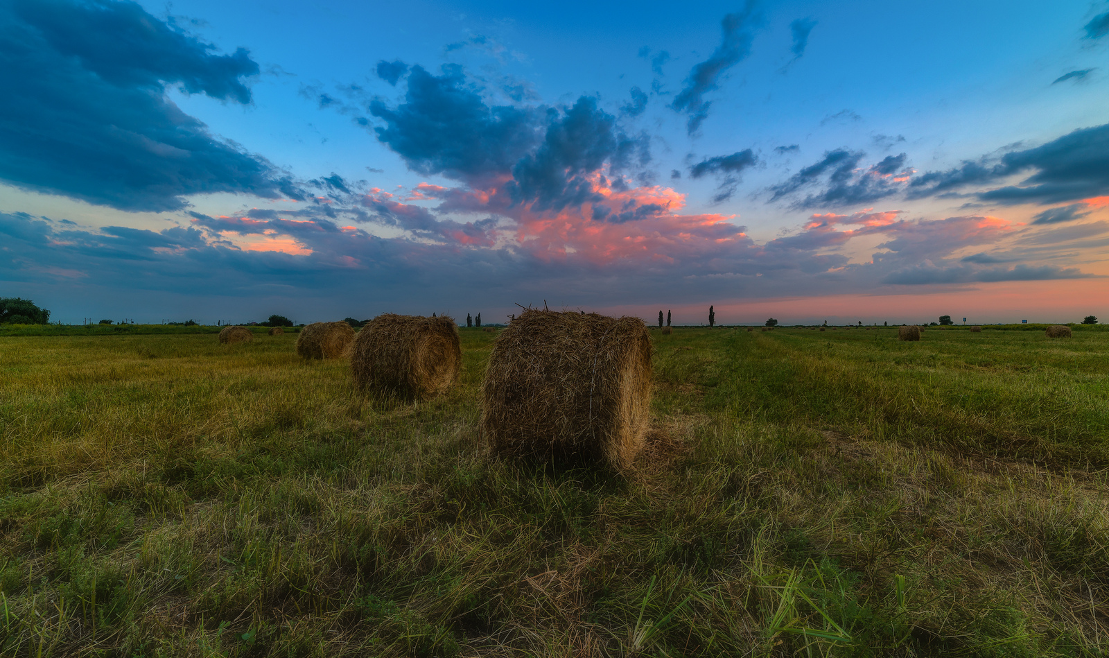 Времена года - июнь