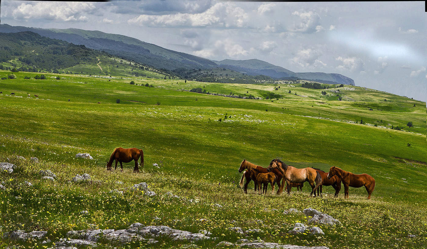 Прогулка по яйлеэ