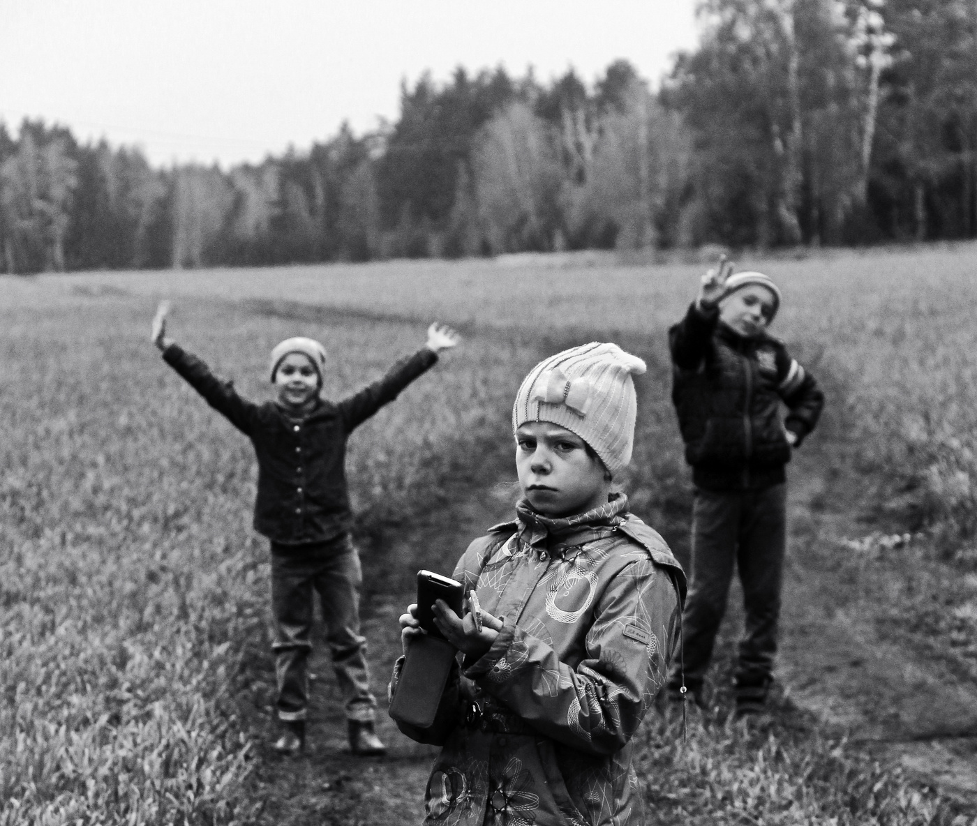 За шиповником