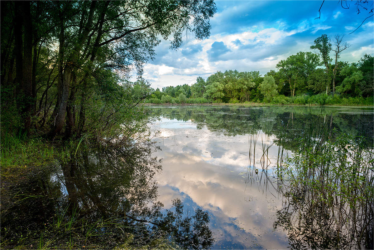 На Фёдоровских лугах