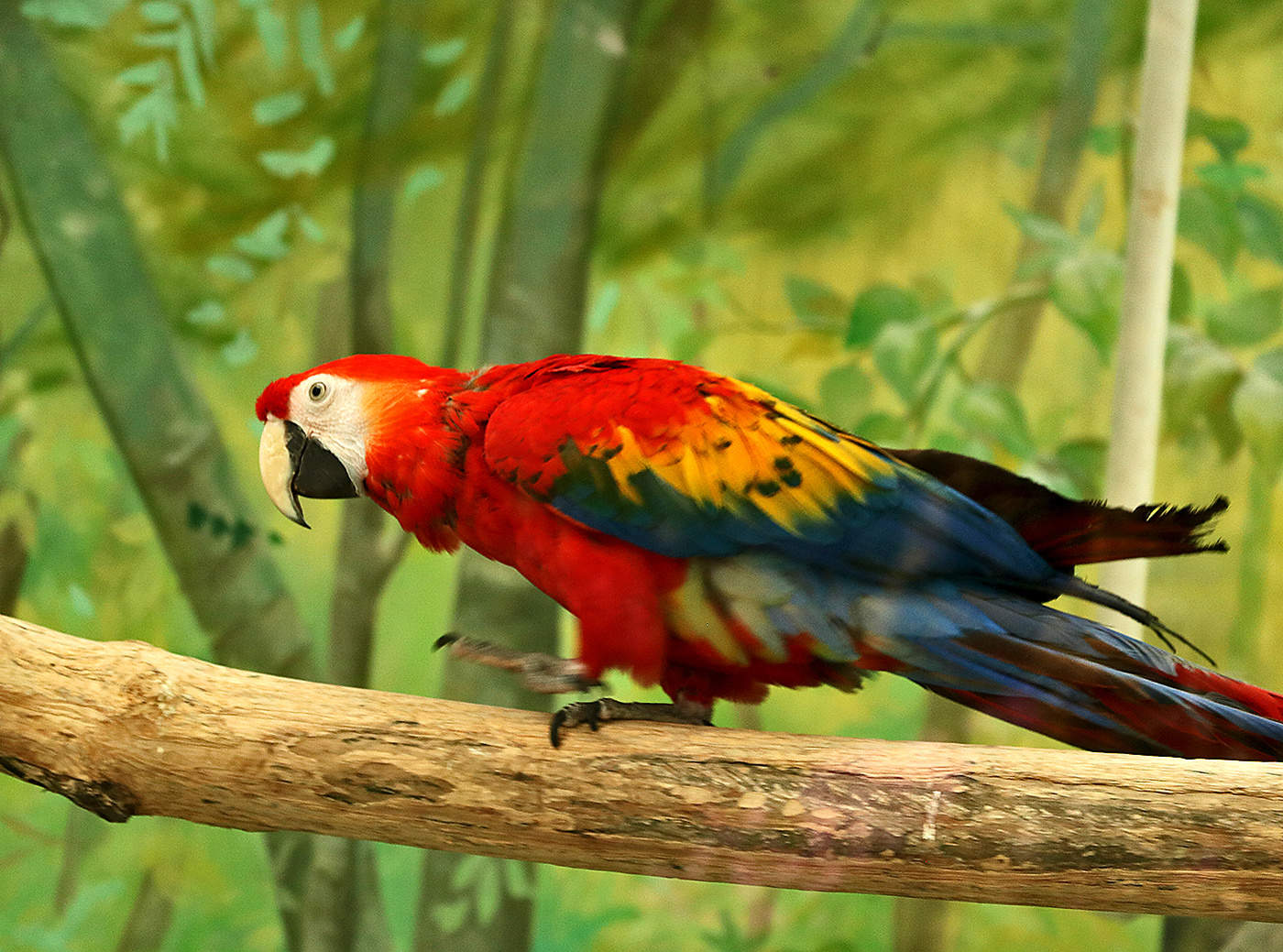 Идет направо - песнь заводит, налево - сказку говорит...