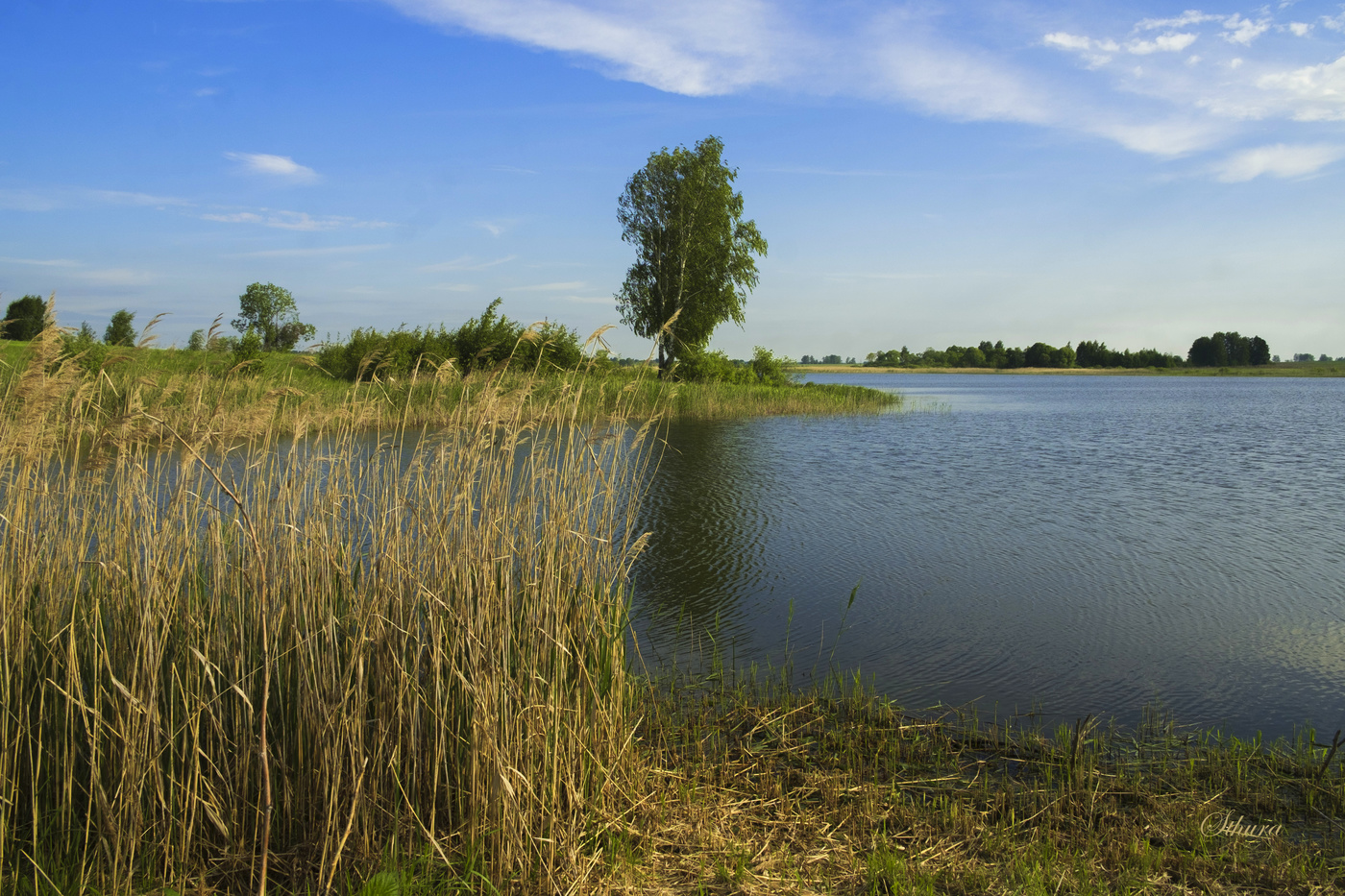 Весенний пейзаж.