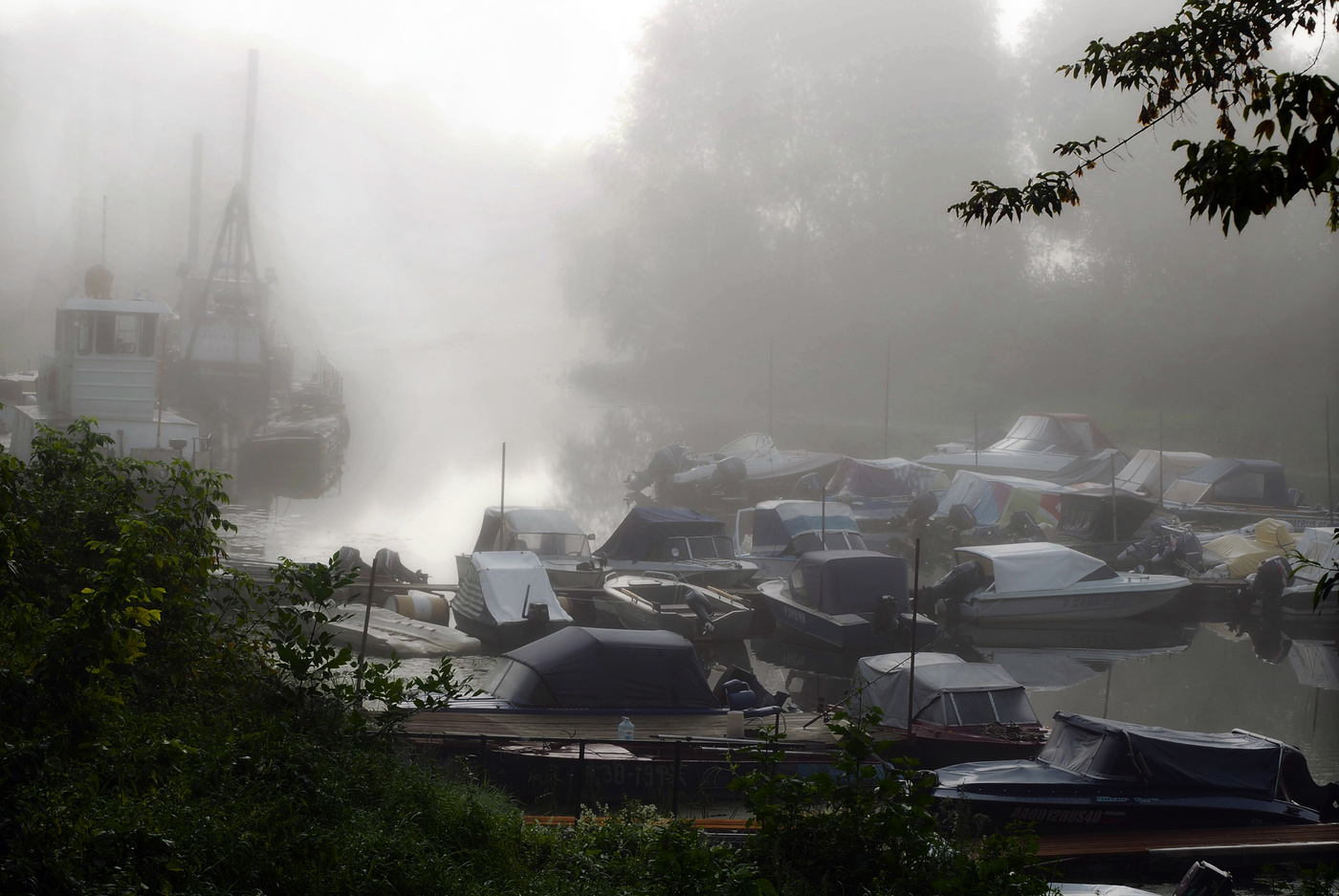 В туманной тишине.