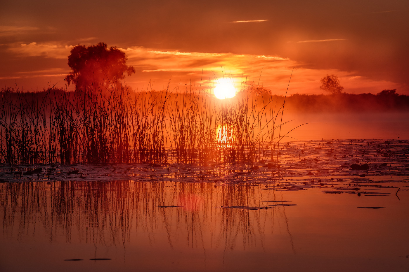 Красный закат