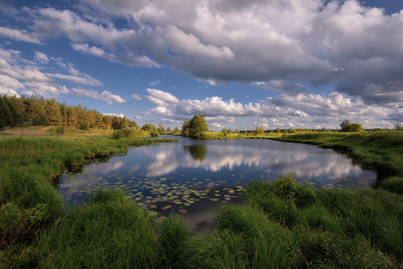 летний день