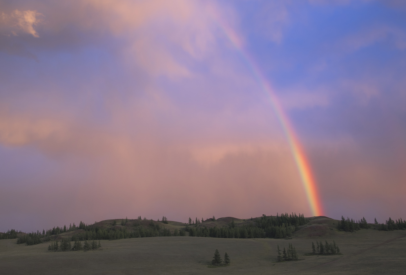 Таежная радуга