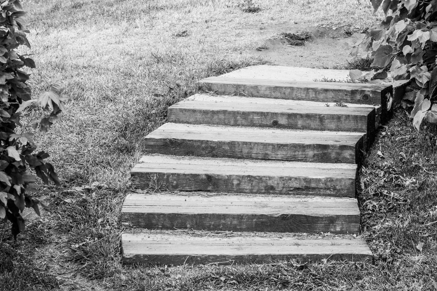 Философия жизни