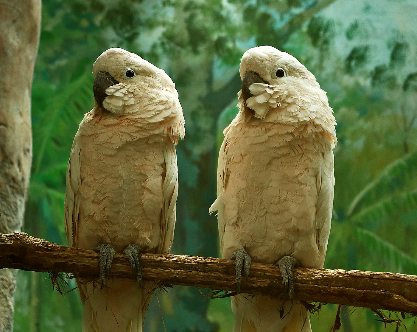 Двое из ларца, одинаковых с лица...