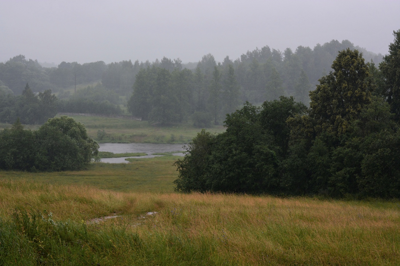 "Сегодня холодно и сыро, и дождик сеет целый день..."