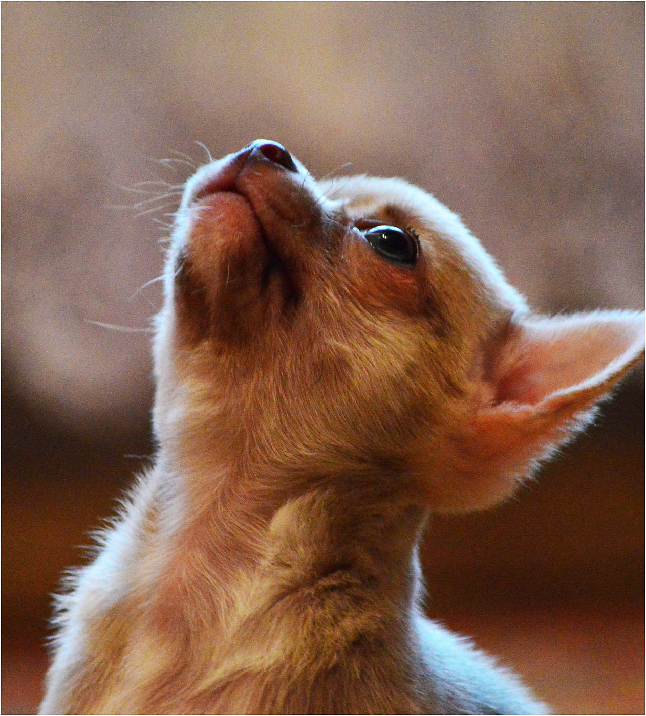 Я Вас слушаю ...