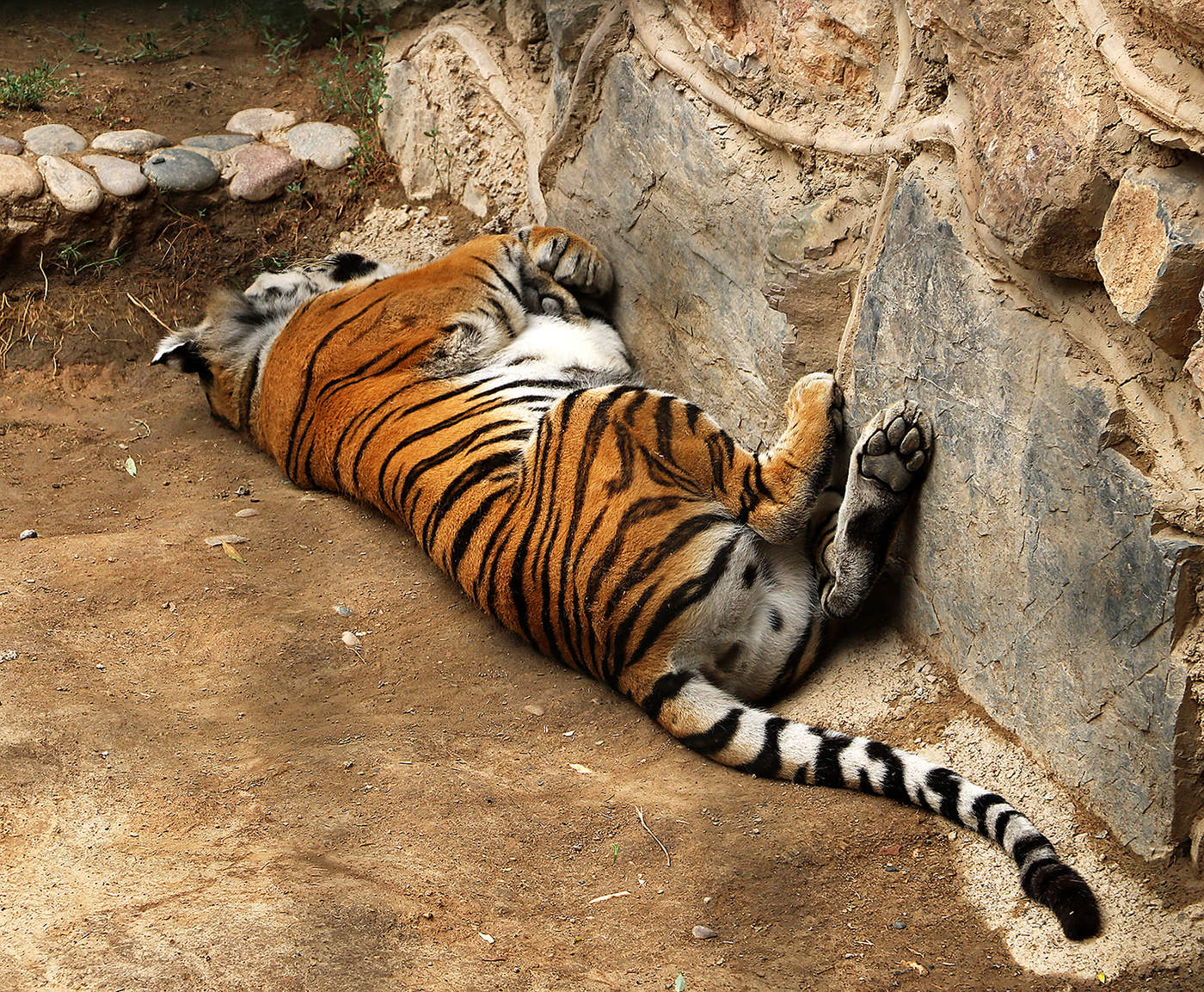 Знойный денек