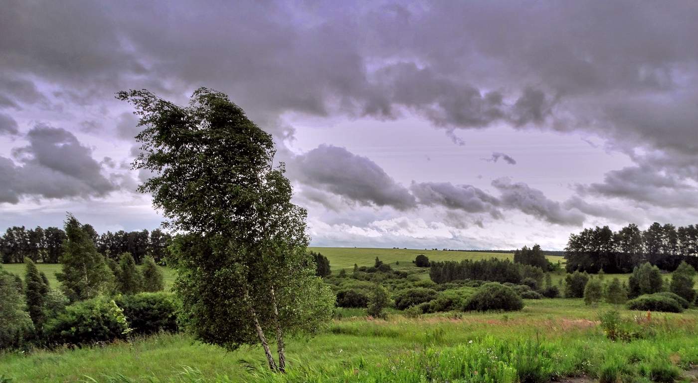 Ветер сильный, северный