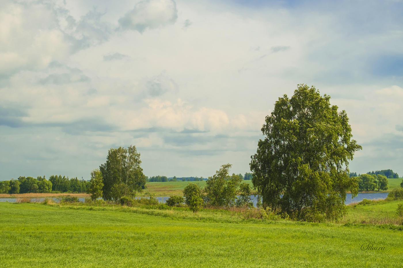 Весенний пейзаж.