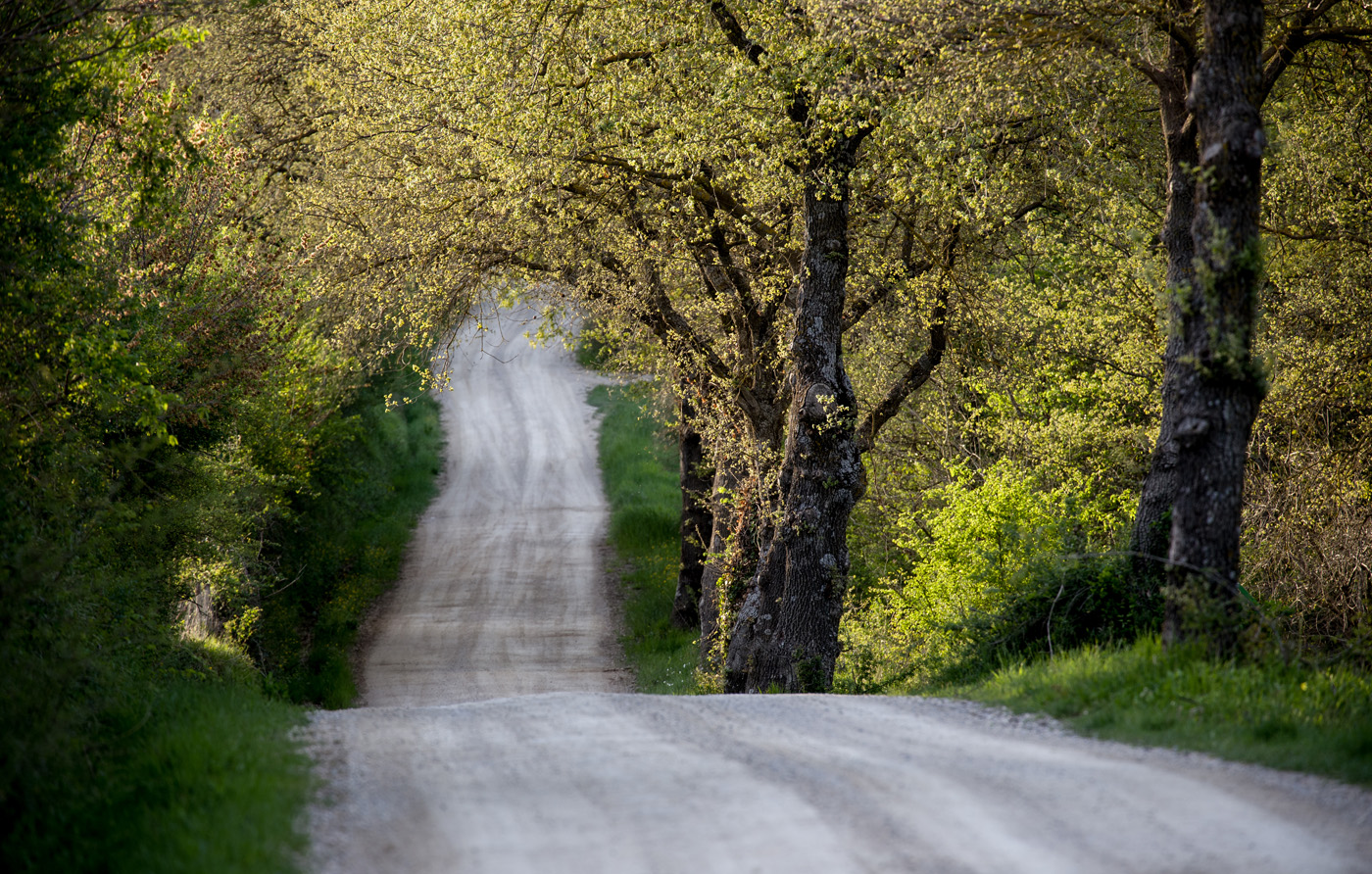 Весной по дороге
