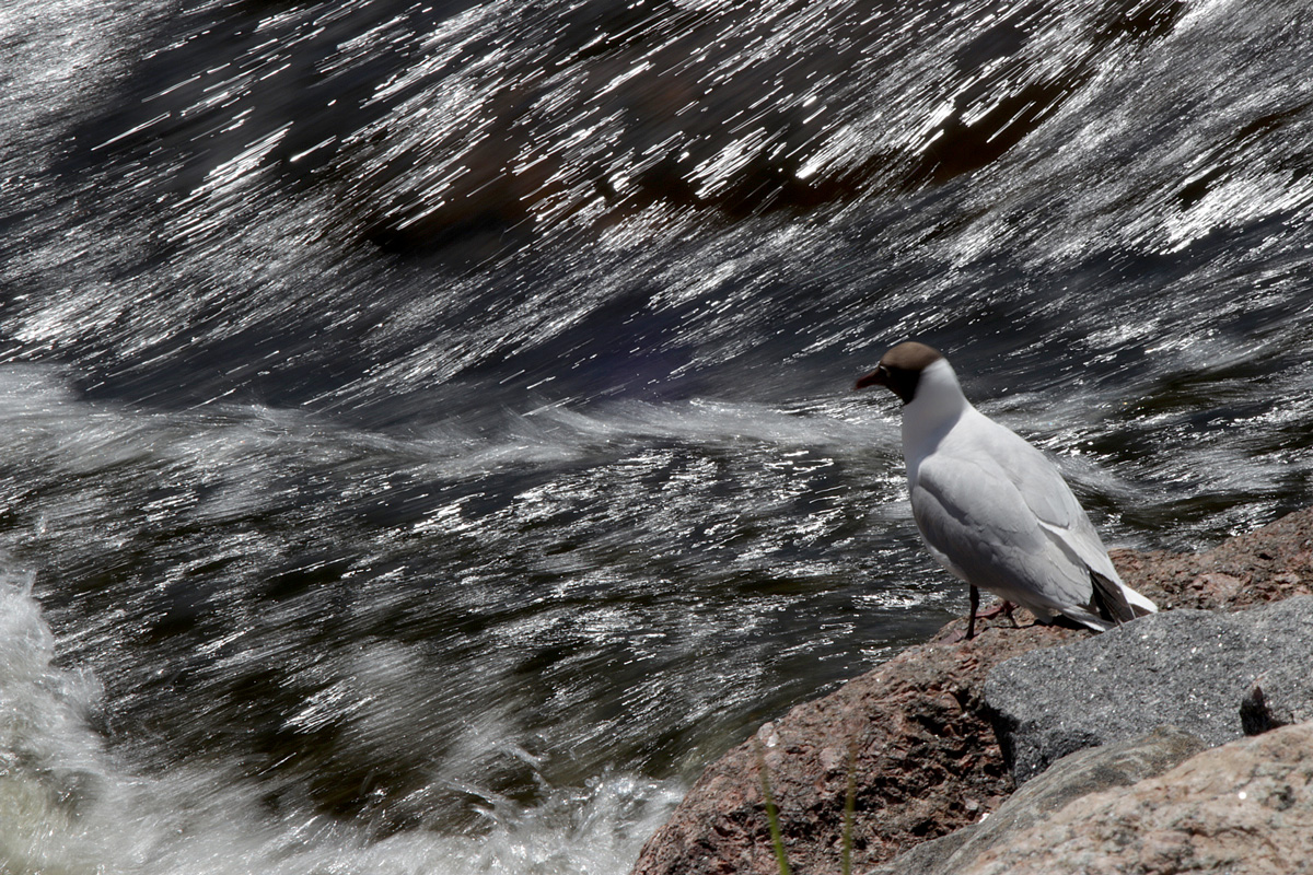 В ожидании...