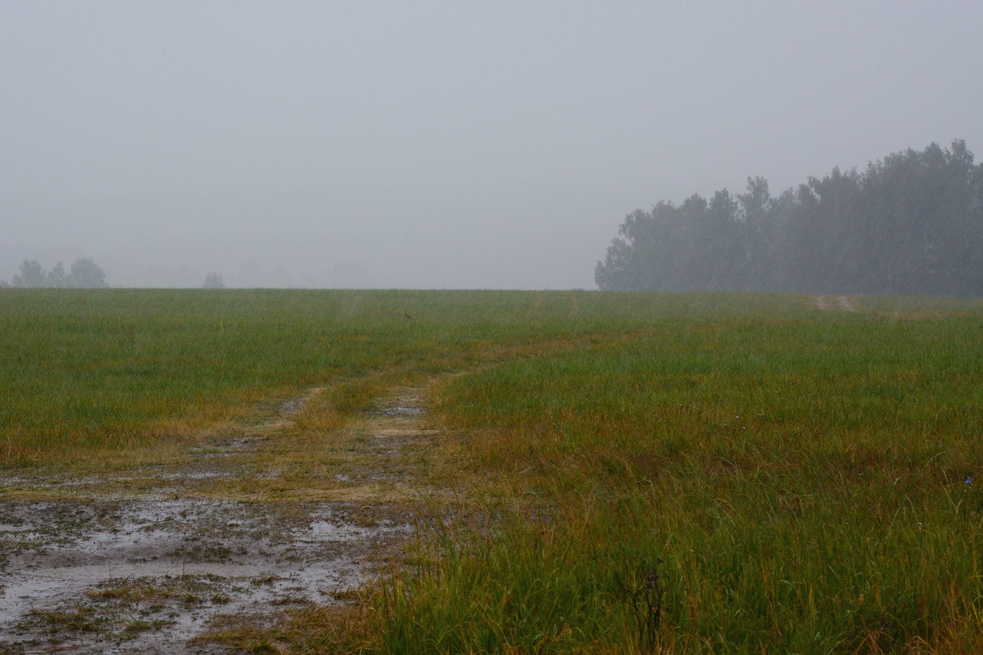 "Идут обыденные дожди ..."
