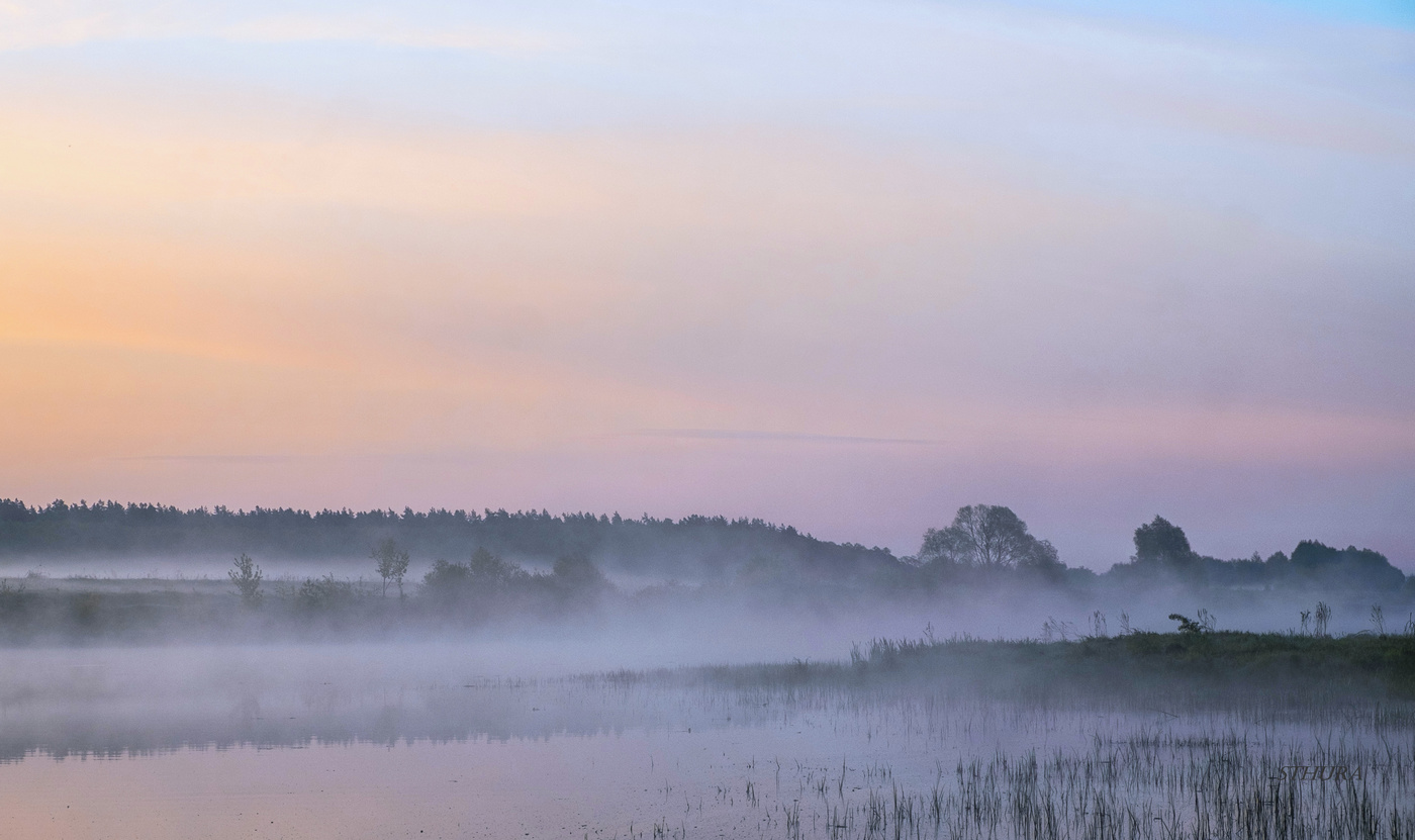 Утренняя тишина.
