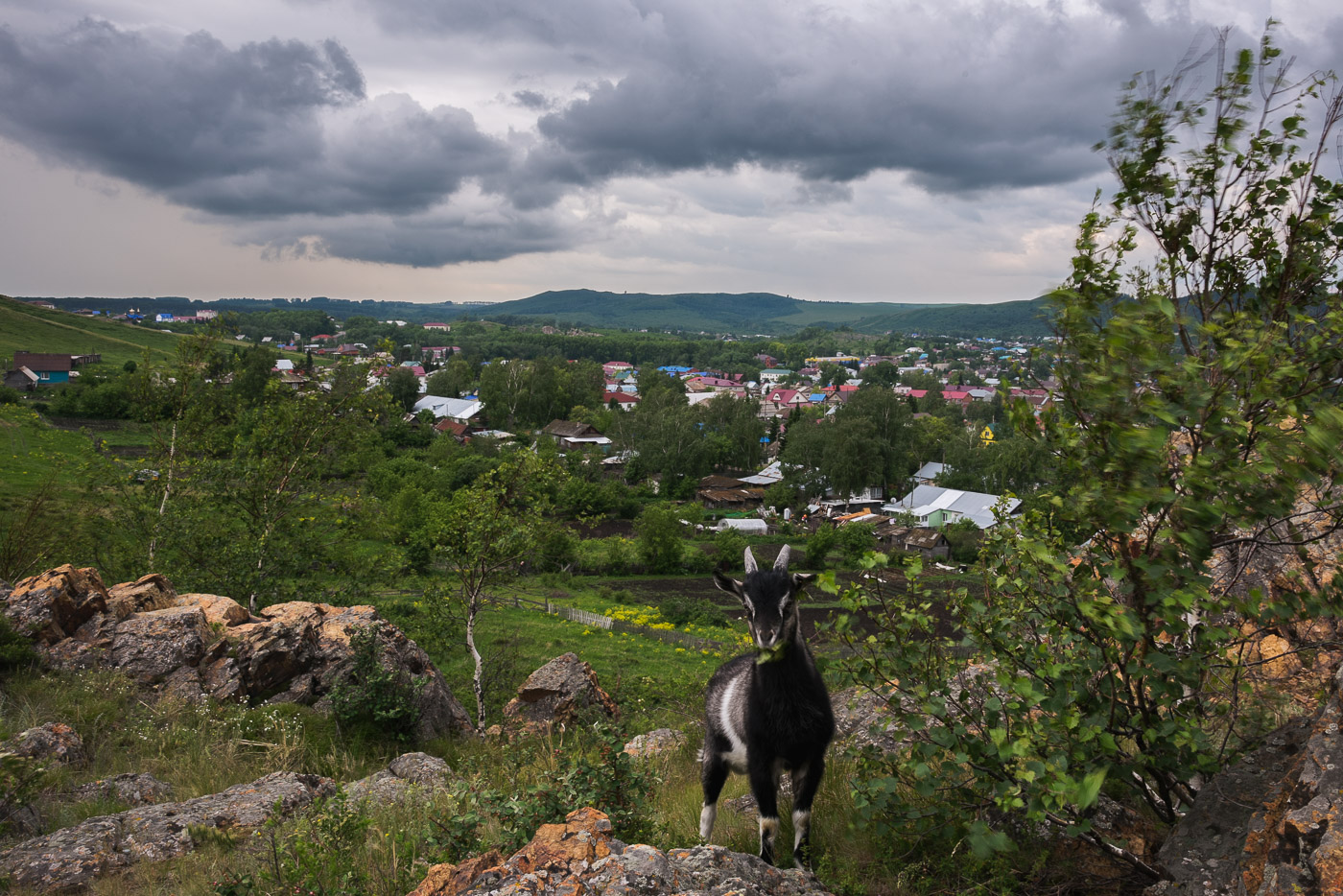 Портрет на фоне города