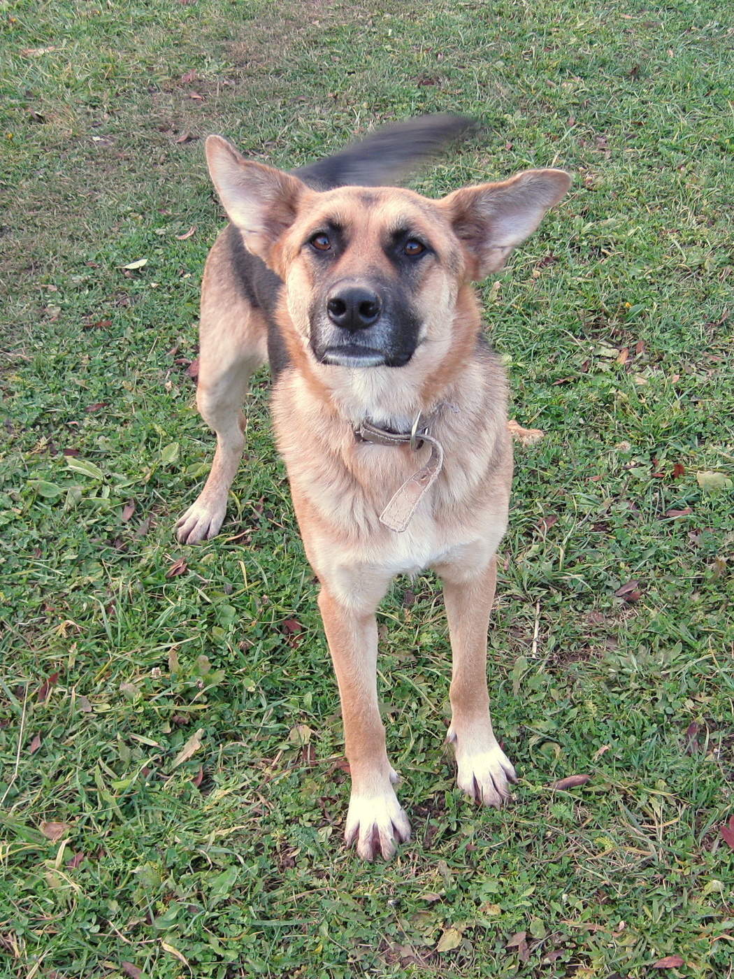 Полюби меня такой..