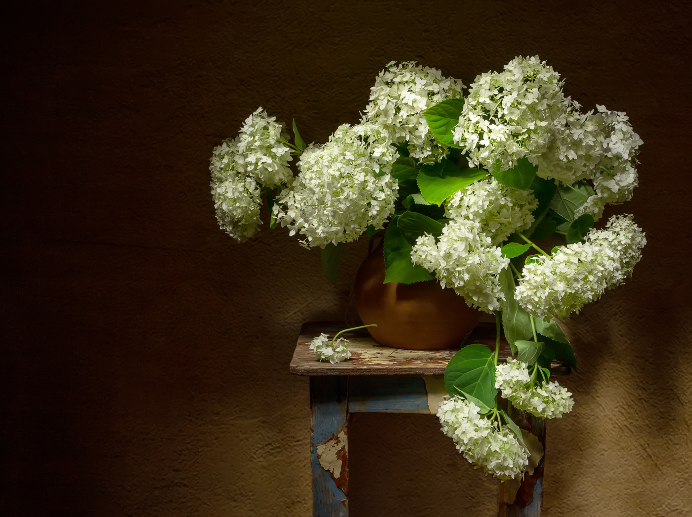 Гортензия...