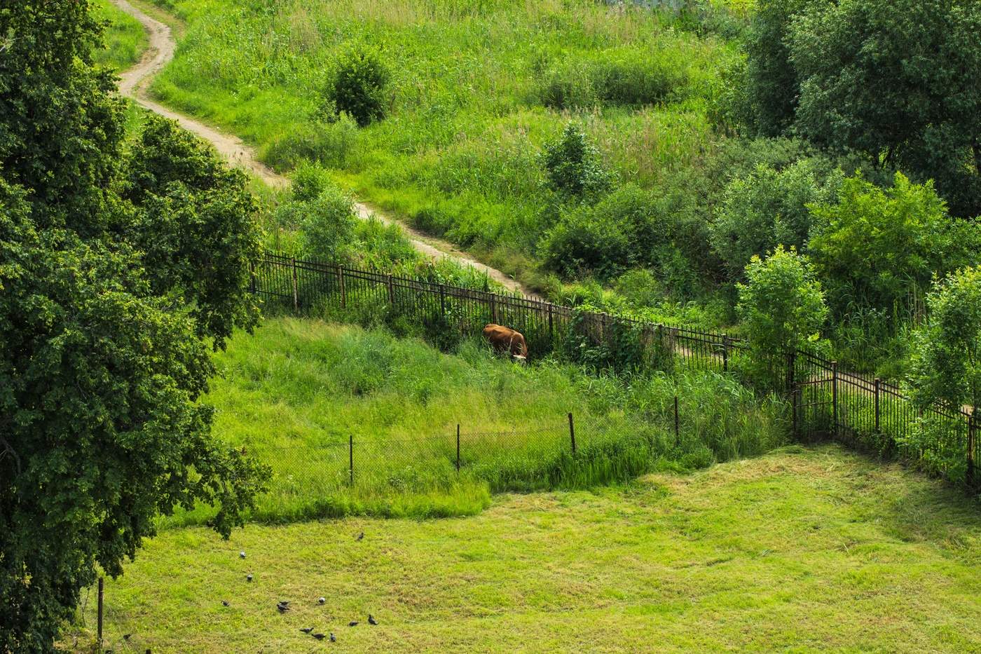 Вид с монастырской колокольни