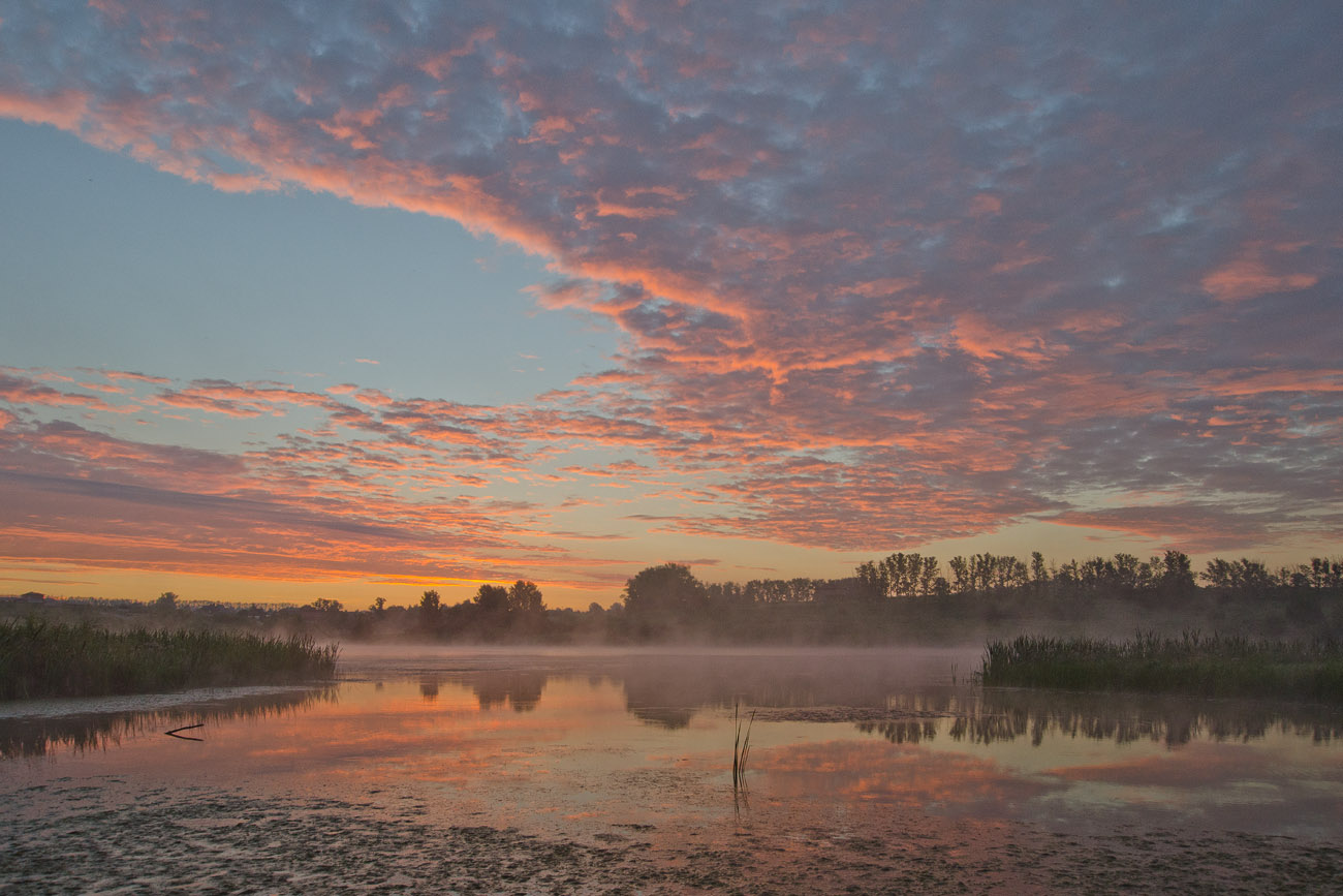 Коралловый рассвет