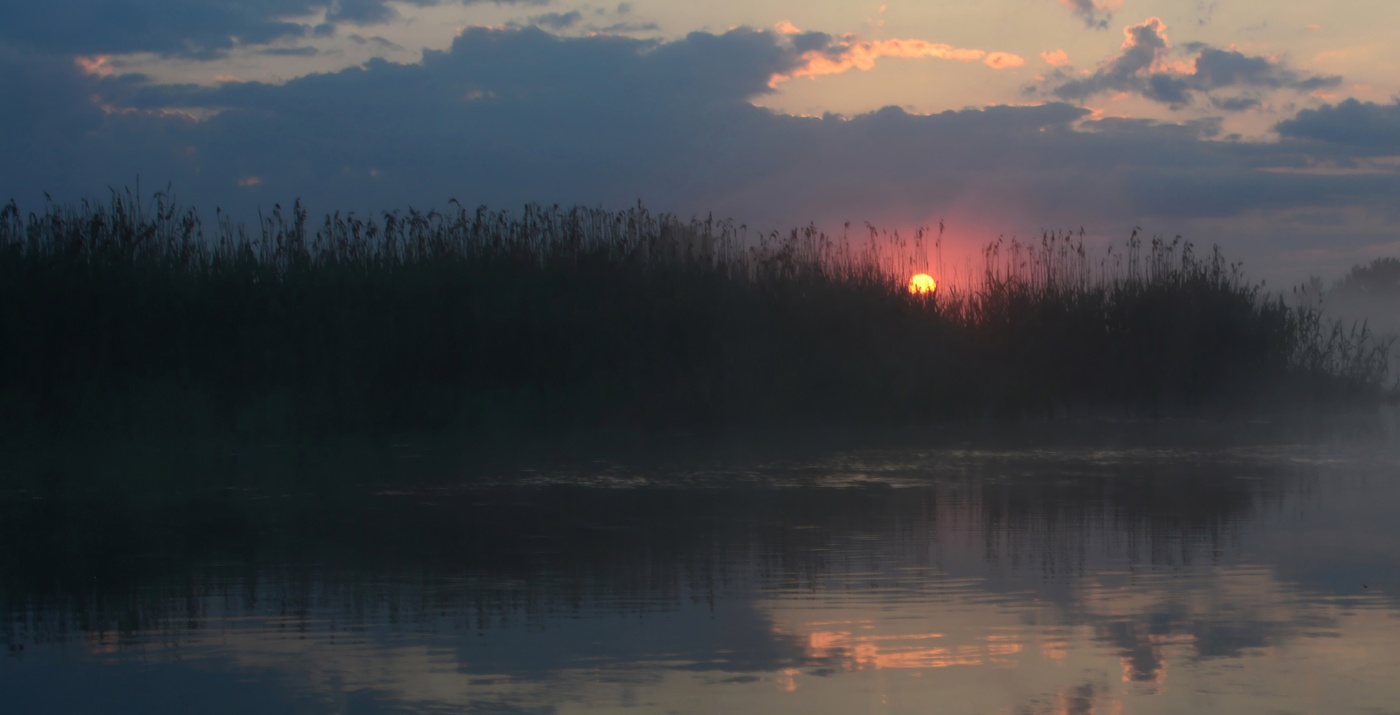 Летний рассвет