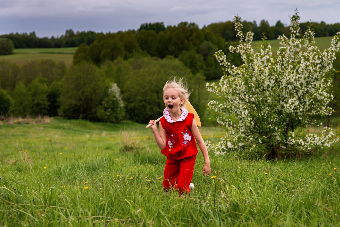 В погоне за бабочками