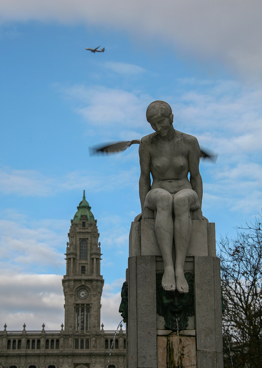 Крылья не роскошь, а средство для передвижения