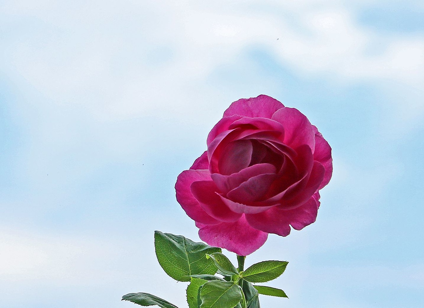 Витающая в облаках