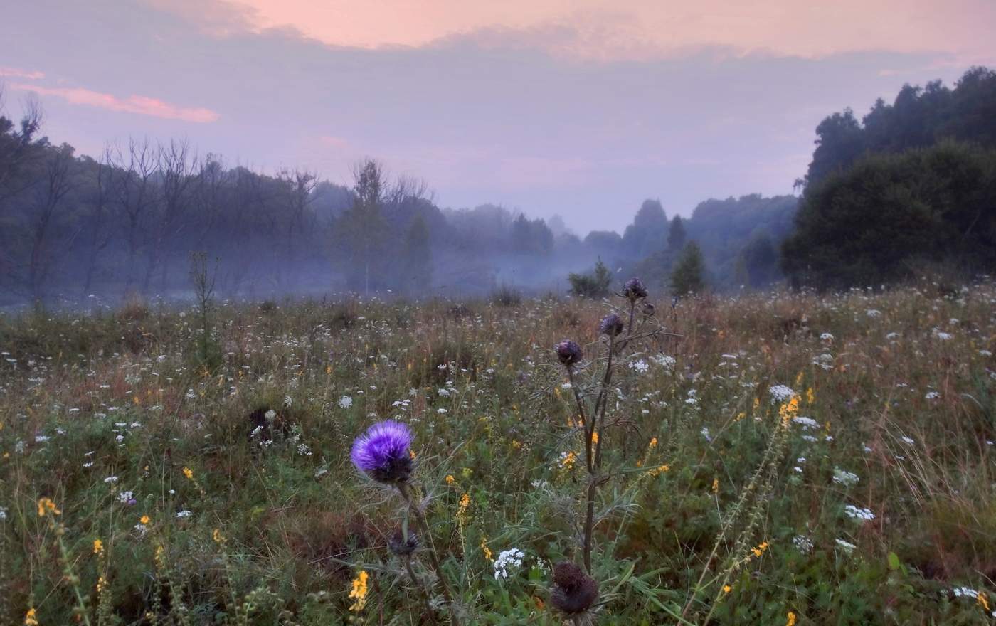 Утренняя июльская заря