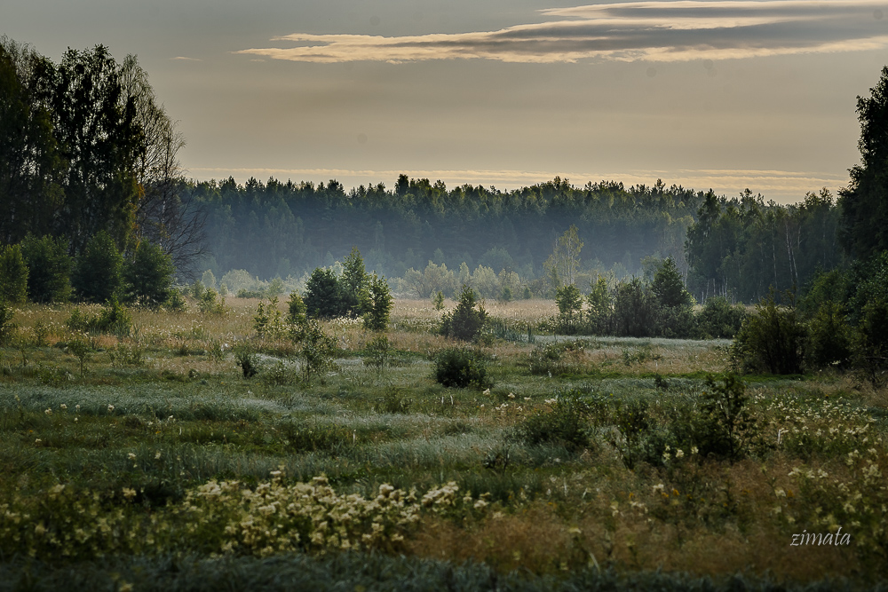 картинка средней полосы