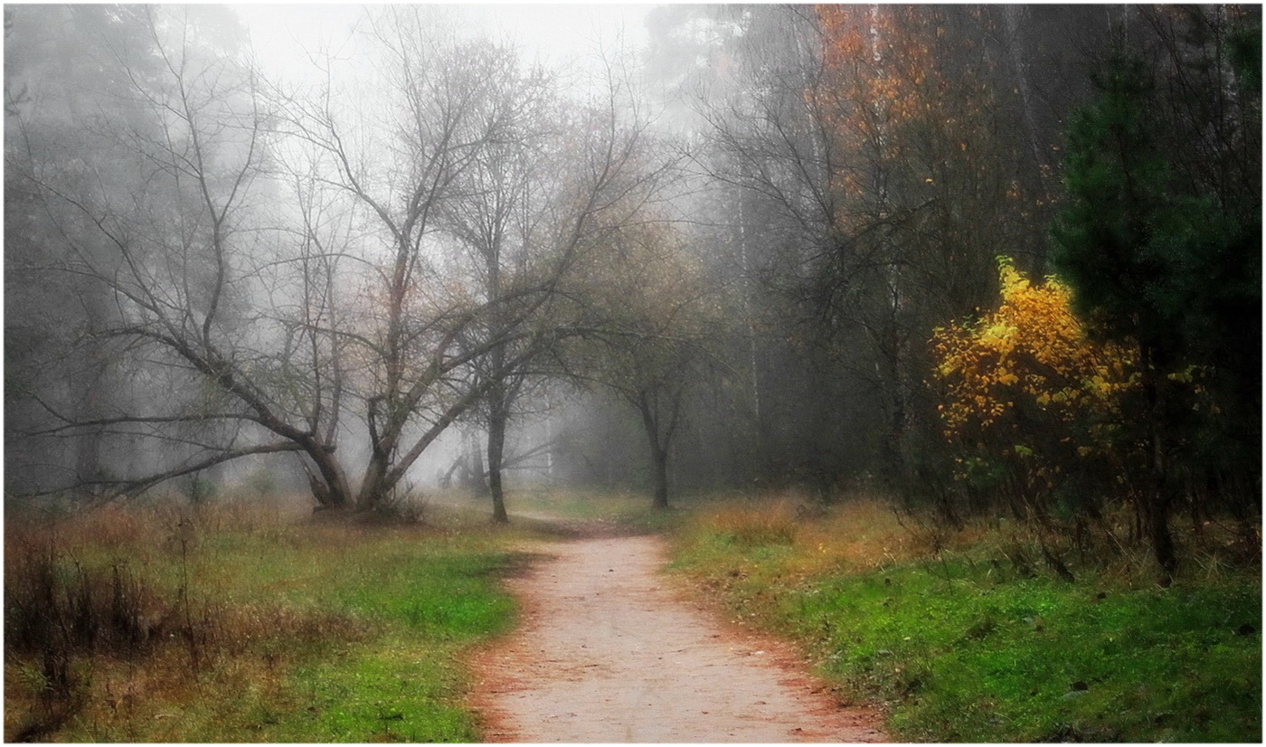 Осенний мотив