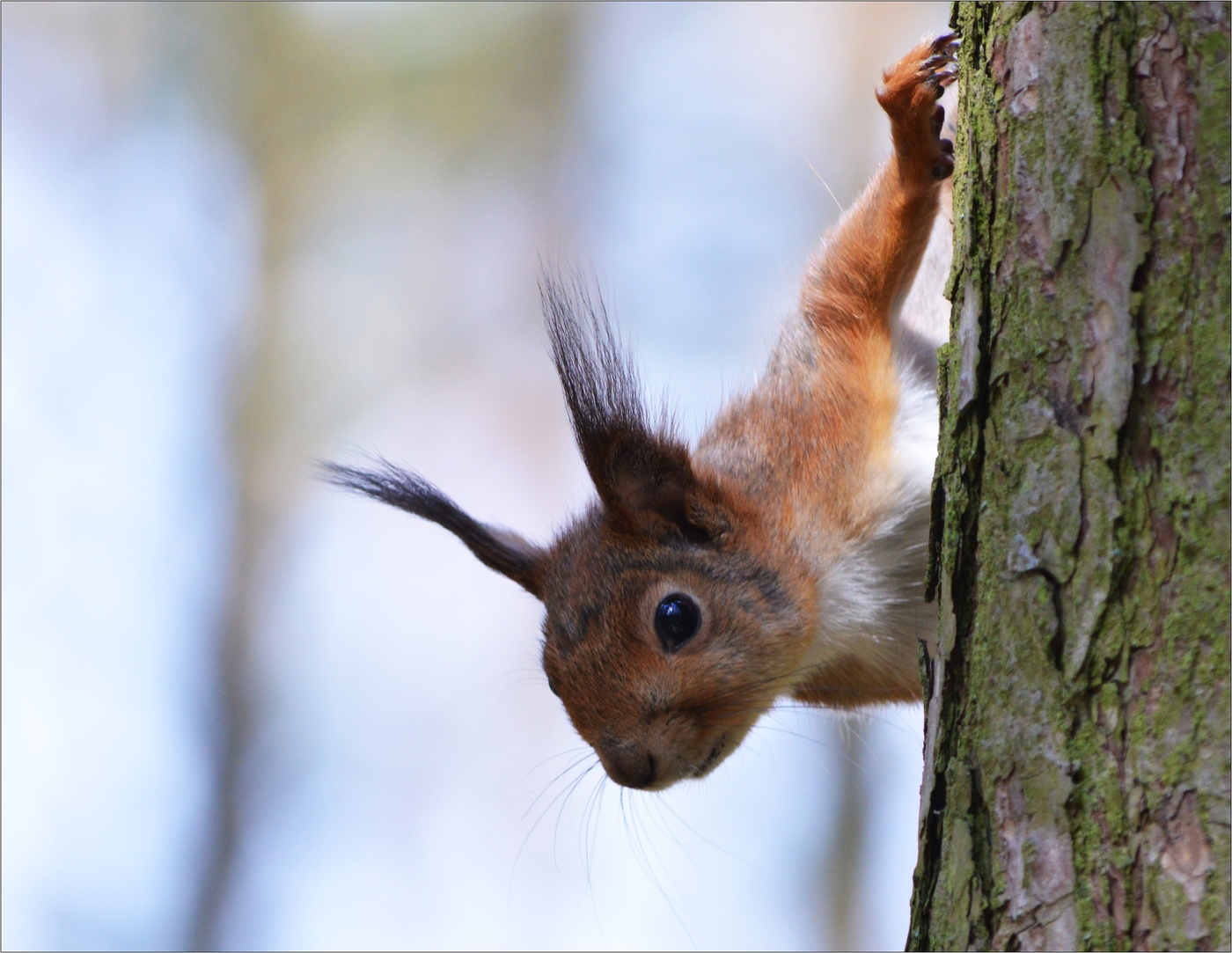 Настроение