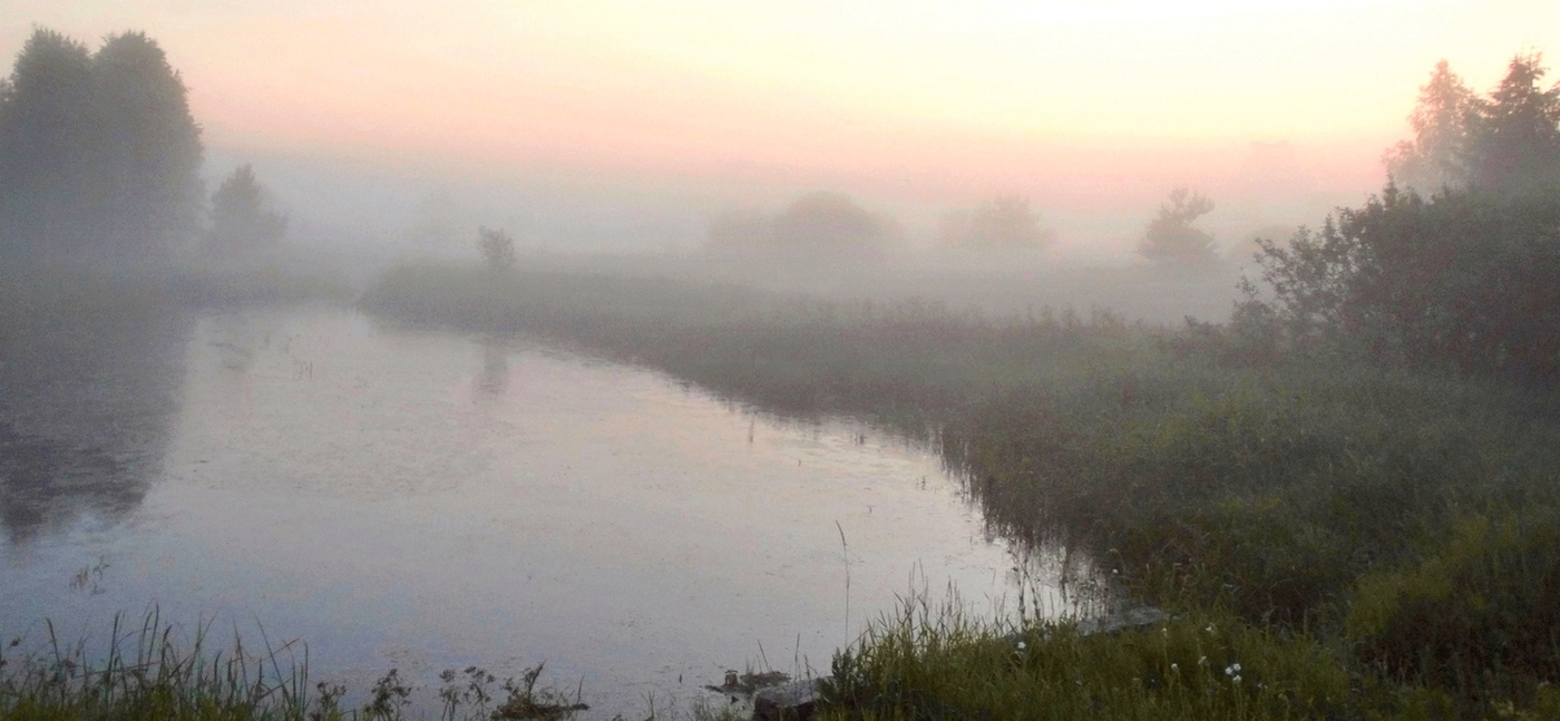 Туман накрыл ночным покрывалом природу
