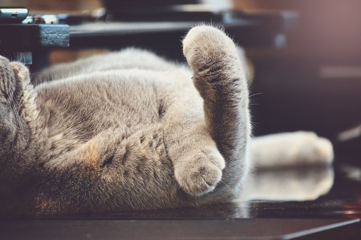 ..понятный кадр..)