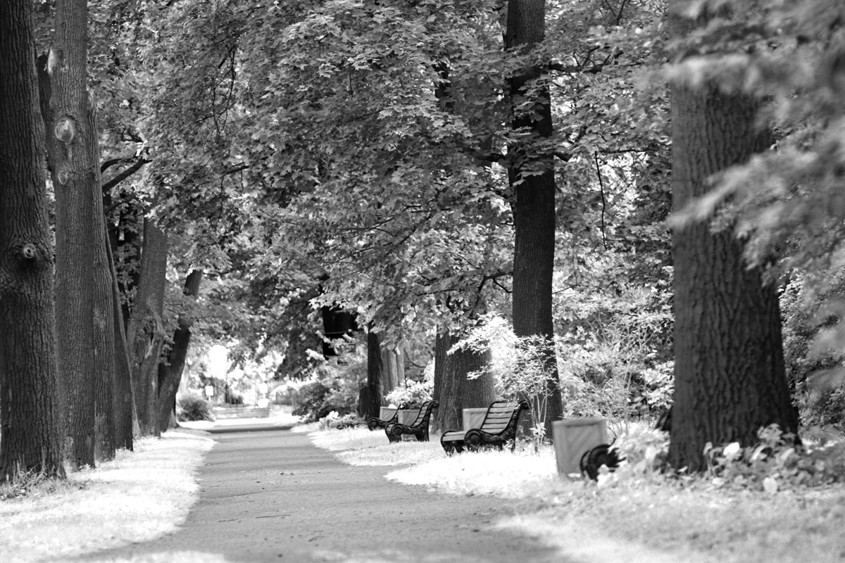 Понятный кадр