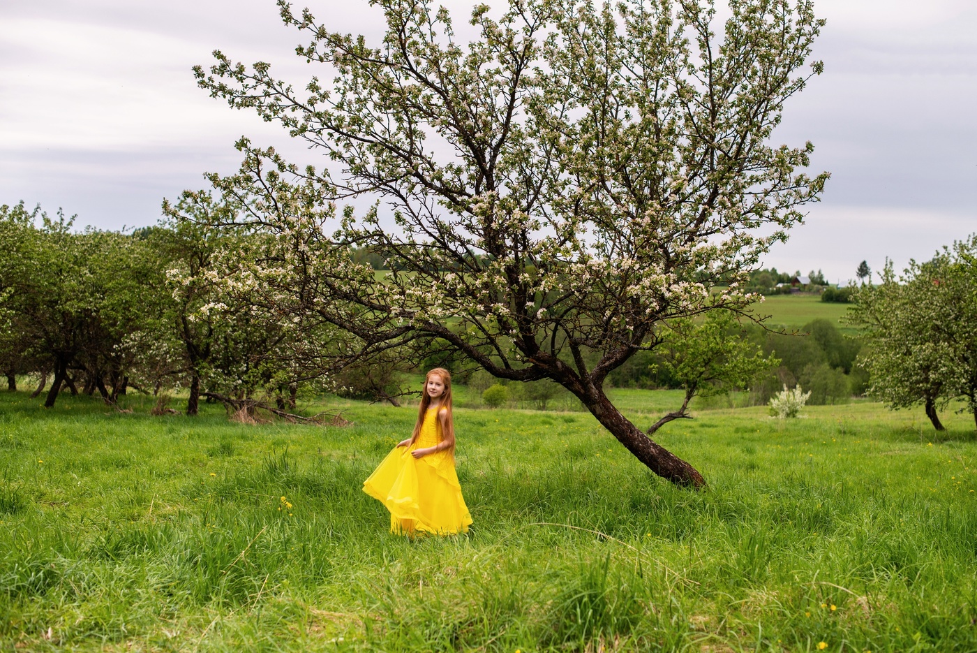 Цветущий май