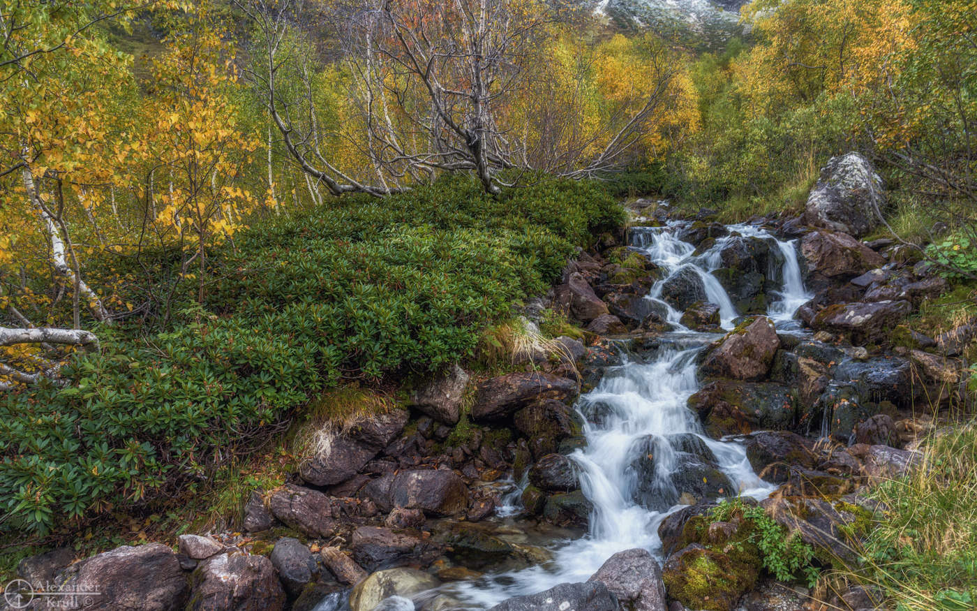 На осенней Дукке...