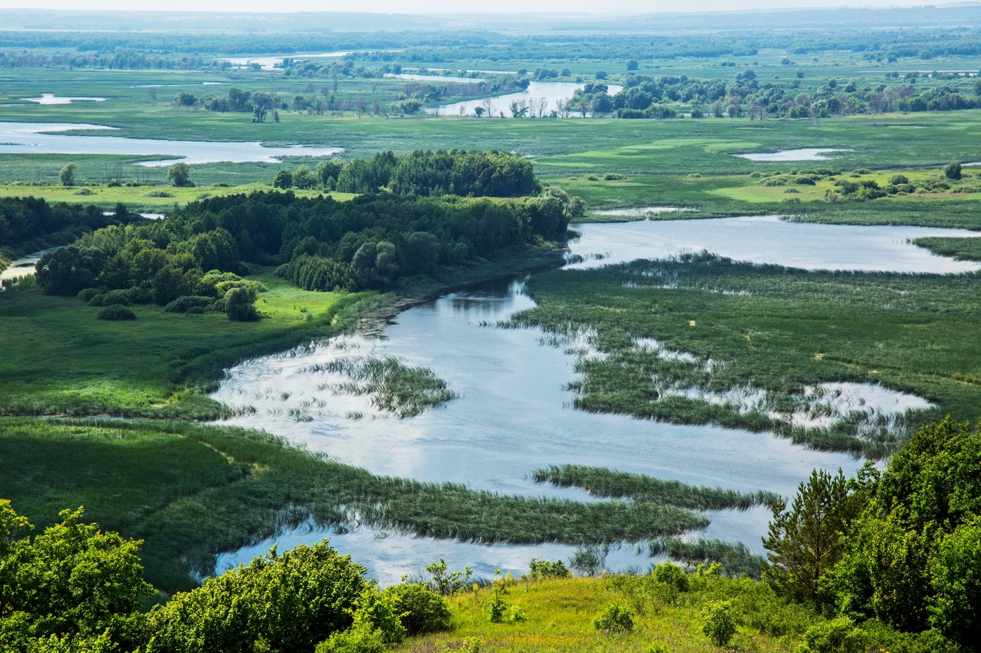 Дельта реки Свияга