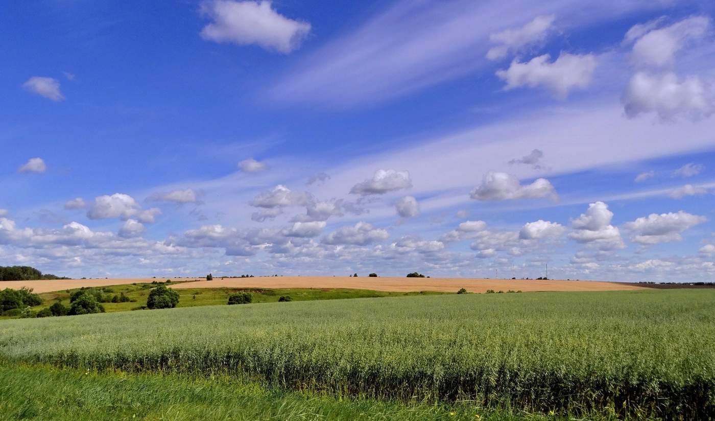 Июльский пейзаж