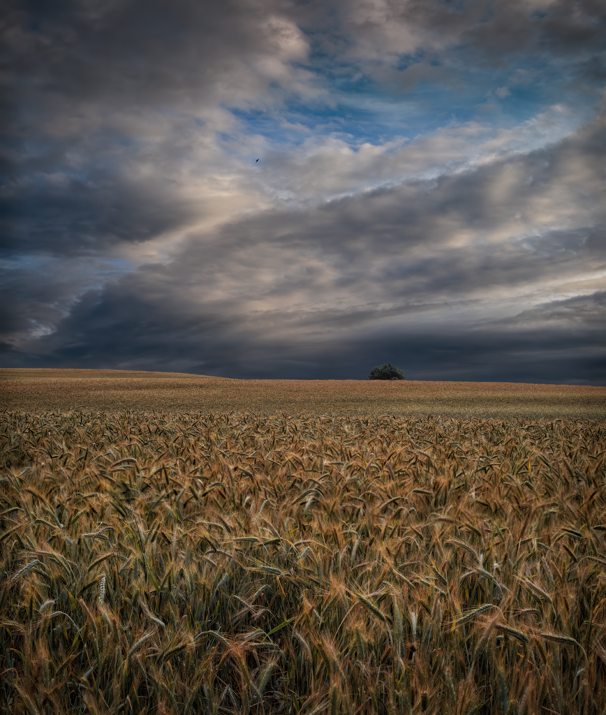 Мгновение июня