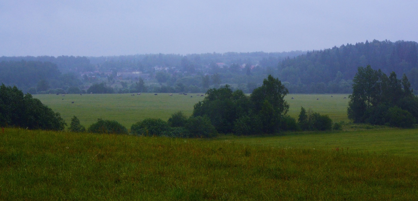 "Ненастный день, ни солнышка , ни света, лишь серость простирается вокруг..."