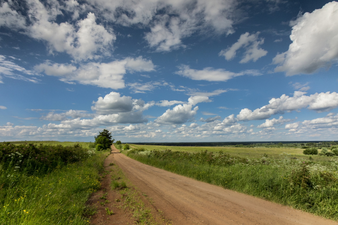 Летний день